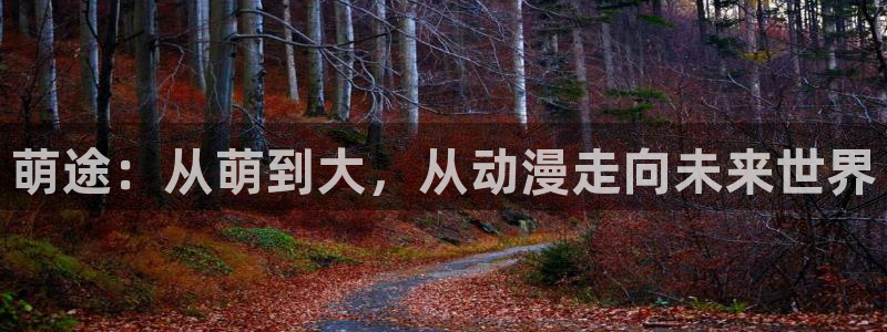 哈哩哈哩动漫网址：萌途：从萌到大，从动漫走向未来世界