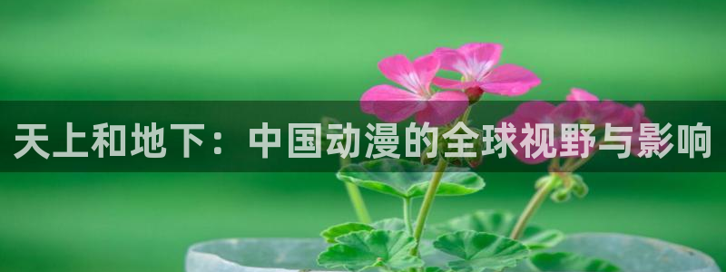 哈哩哈哩官网在线观看电视剧：天上和地下：中国动漫的全球视野与影响