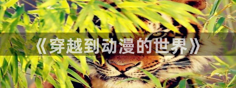 哈哩哈哩动漫温馨小站：《穿越到动漫的世界》