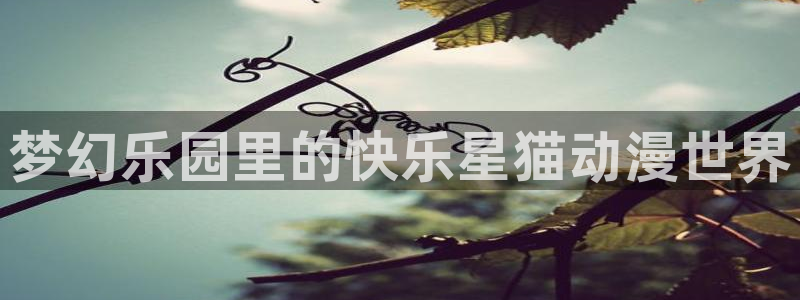 halihali哈哩哈哩动漫在线看：梦幻乐园里的快乐星猫动漫世界