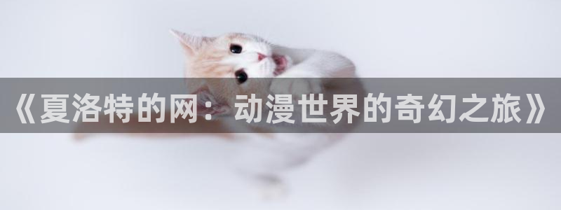 哈哩哈哩3com：《夏洛特的网：动漫世界的奇幻之旅》