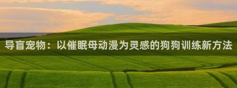 哈哩哈哩halihali官网动漫：导盲宠物：以催眠母动漫为灵感的狗狗训练新方法
